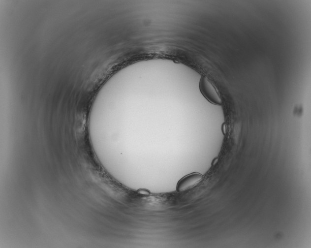 X0000112800660200909111237