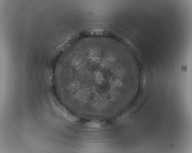 X0000112800661200909111237