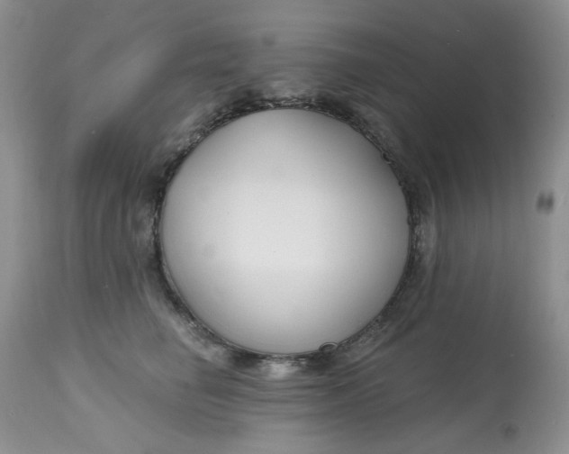 X0000112800662200909111237