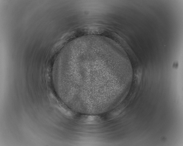 X0000112800663200909111237