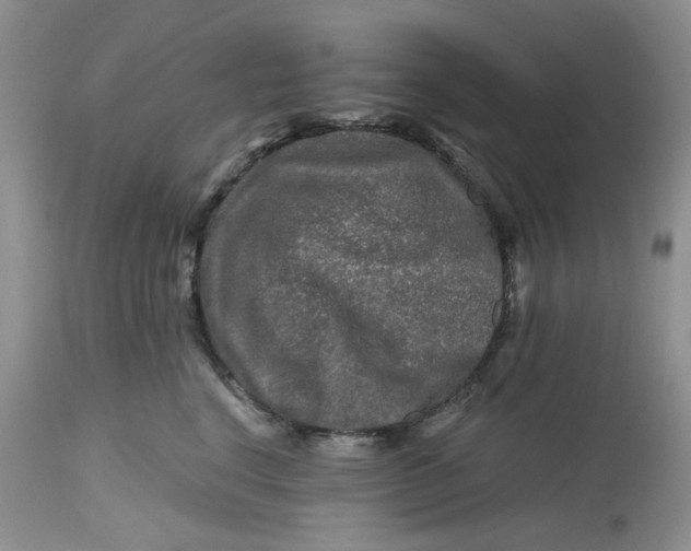 X0000112800664200909111237