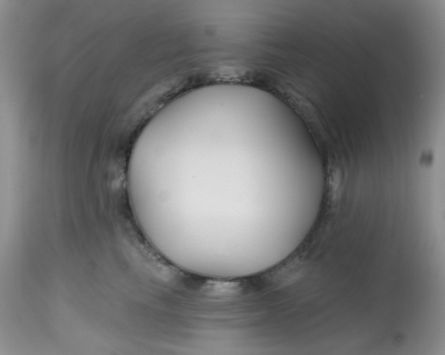 X0000112800665200909111237