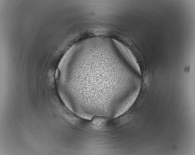 X0000112800667200909111237