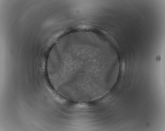 X0000112800668200909111237