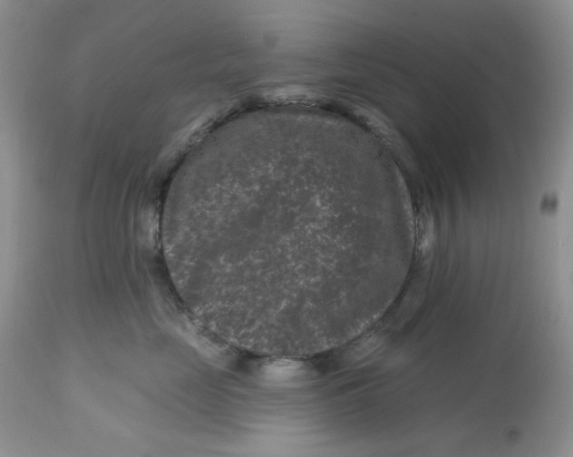 X0000112800669200909111237