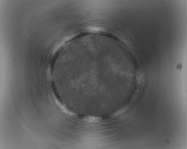 X0000112800670200909111237