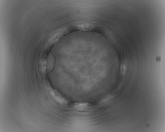 X0000112800671200909111237