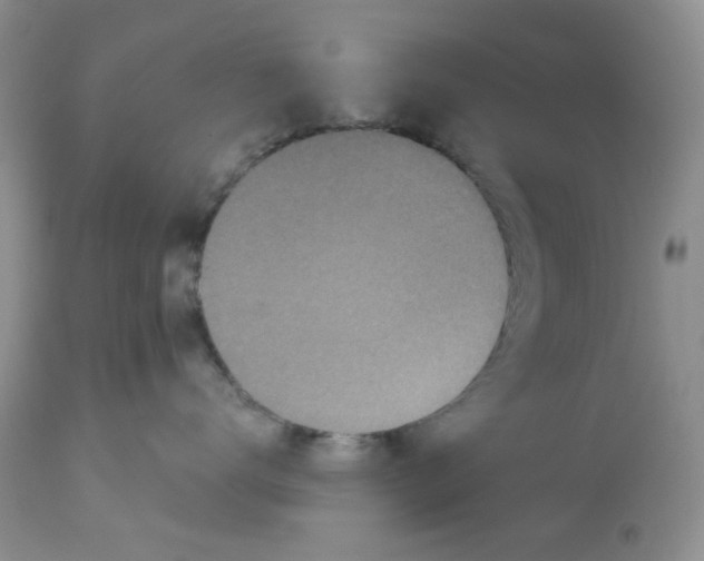 X0000112800672200909111237