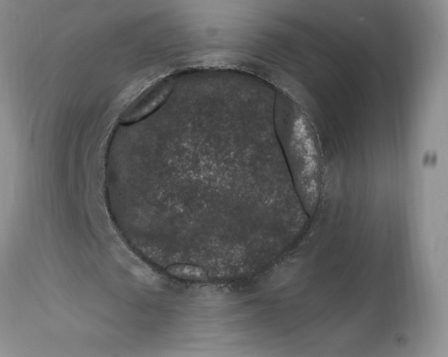 X0000112800673200909111236