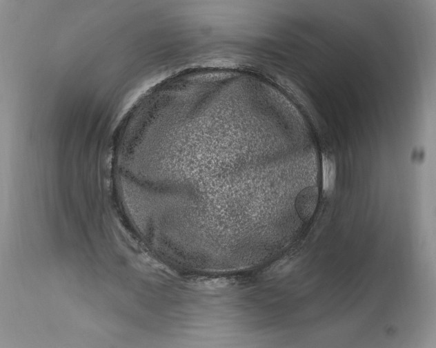 X0000112800675200909111236