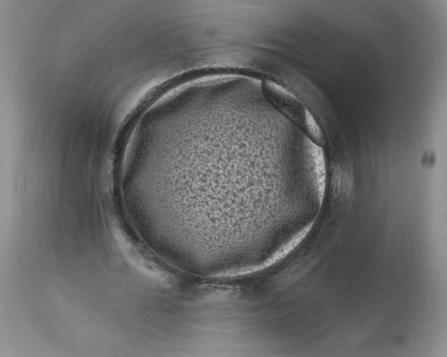 X0000112800676200909111236