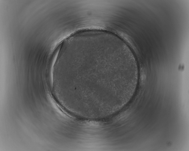 X0000112800677200909111236