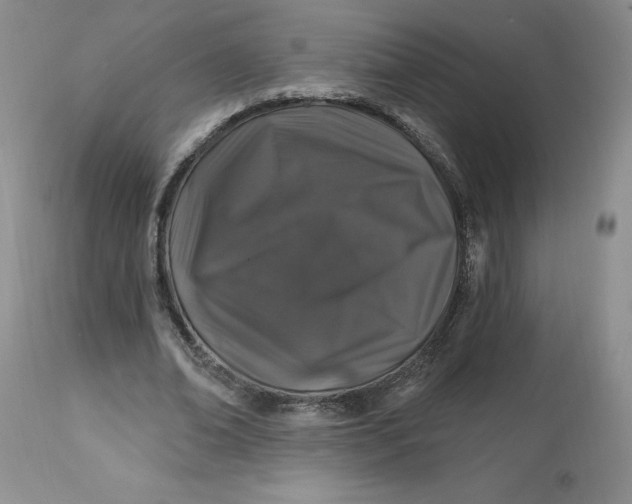 X0000112800678200909111236