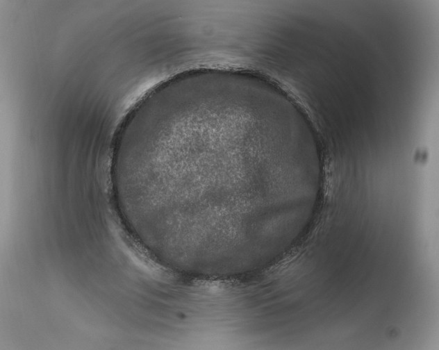 X0000112800679200909111236