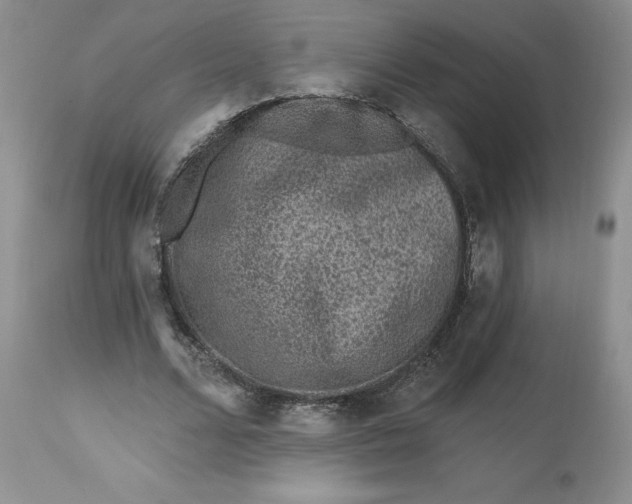 X0000112800680200909111236