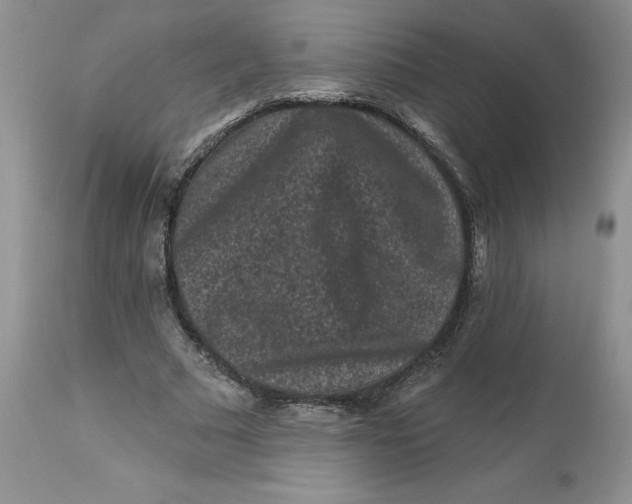 X0000112800681200909111236