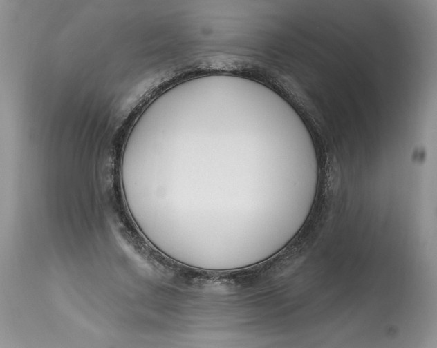 X0000112800683200909111236