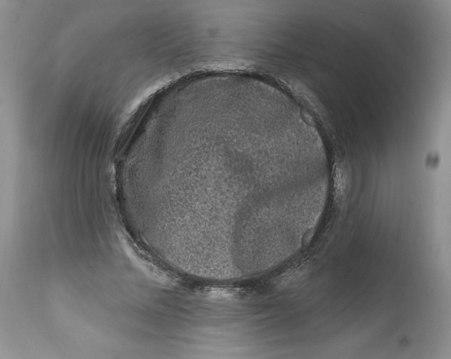 X0000112800684200909111236