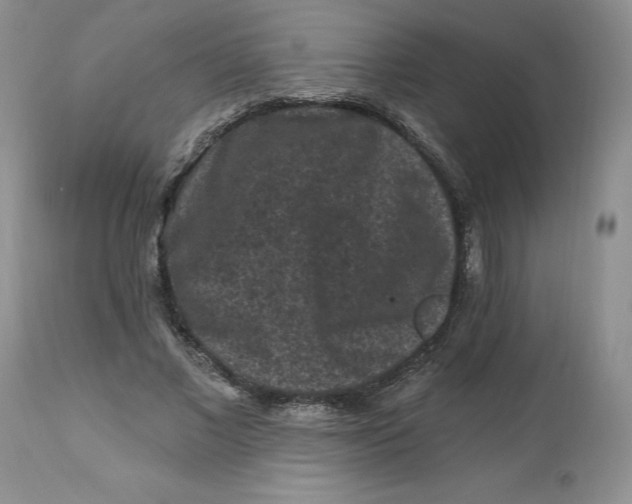 X0000112800685200909111236