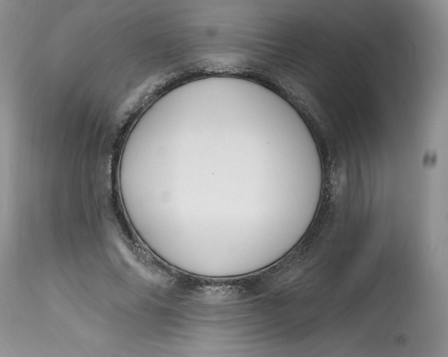 X0000112800686200909111236