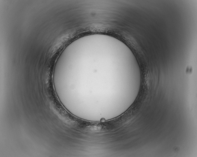 X0000112800687200909111236