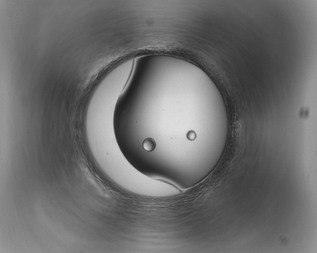 X0000112800688200909111236