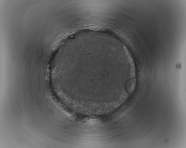 X0000112800689200909111236