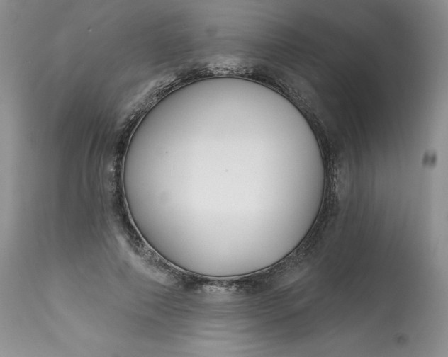 X0000112800690200909111236