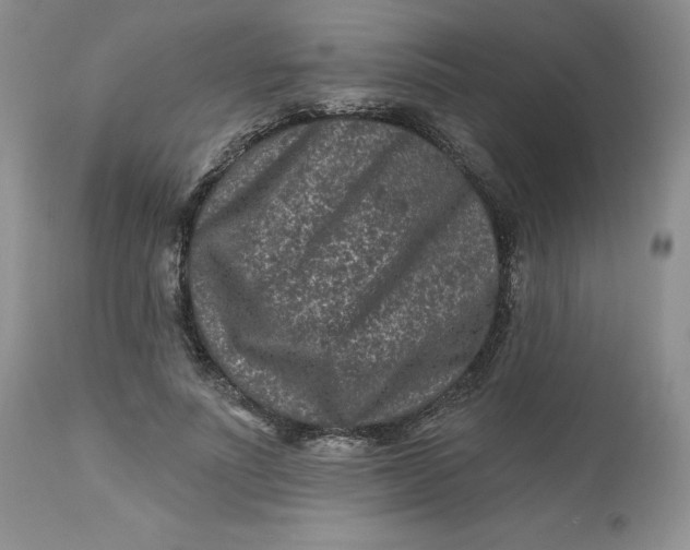 X0000112800691200909111236