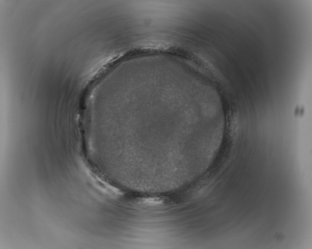 X0000112800692200909111236