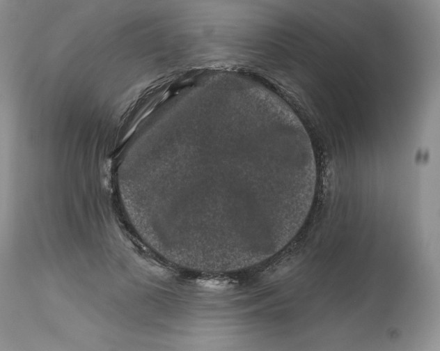 X0000112800693200909111236