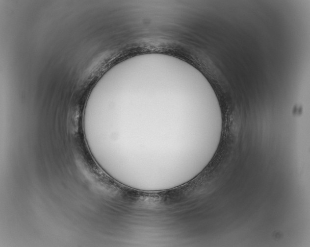 X0000112800694200909111236