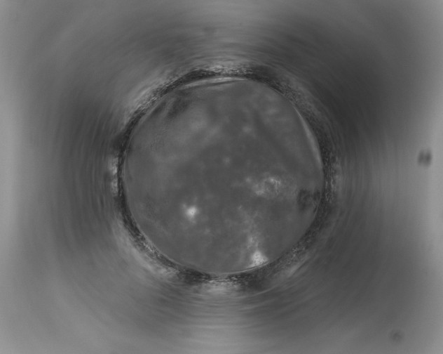 X0000112800696200909111236