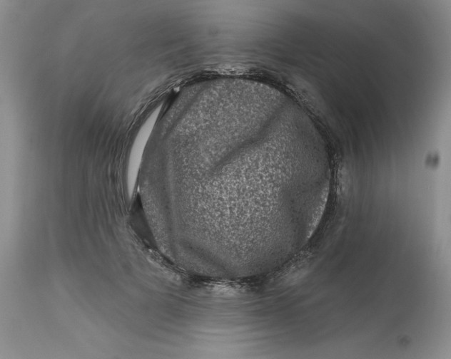 X0000112800697200909111236