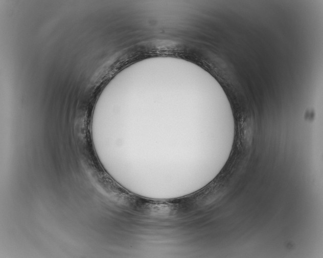 X0000112800698200909111236