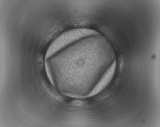 X0000112800699200909111236