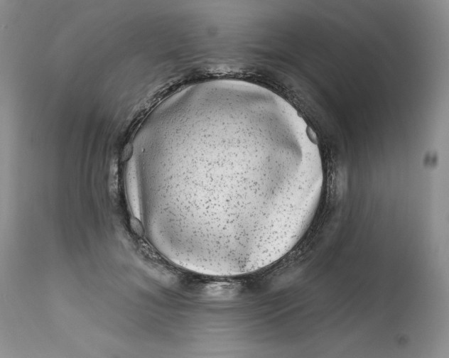 X0000112800700200909111236