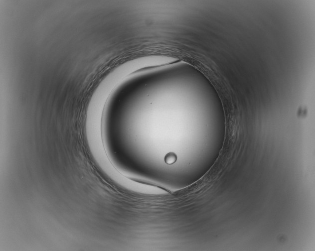 X0000112800701200909111236