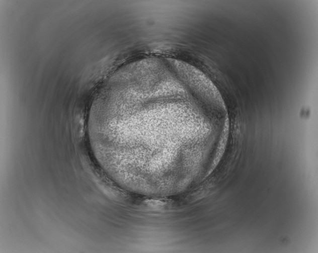 X0000112800703200909111236