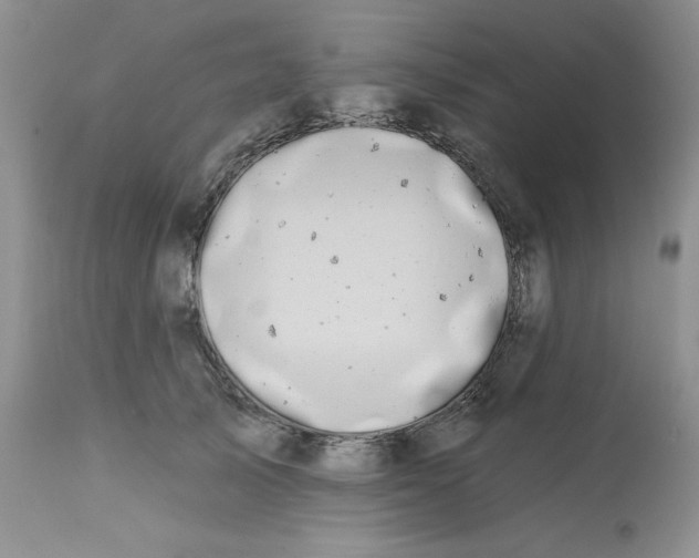 X0000112800705200909111236