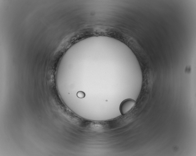 X0000112800706200909111236