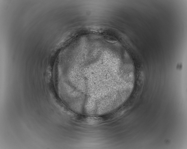 X0000112800707200909111236