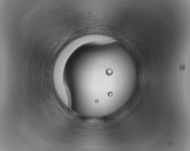 X0000112800708200909111236