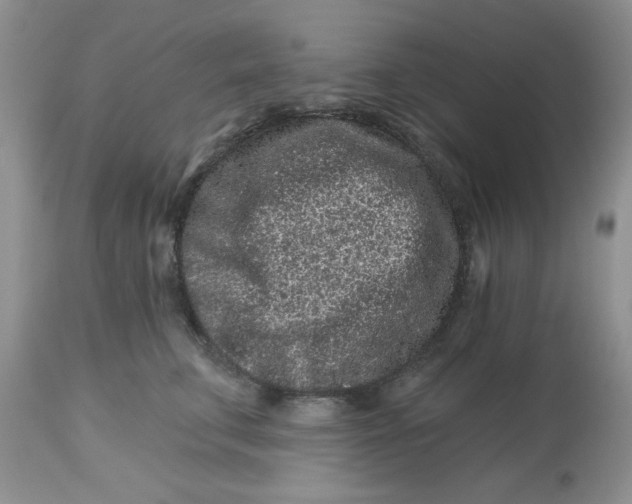 X0000112800711200909111236