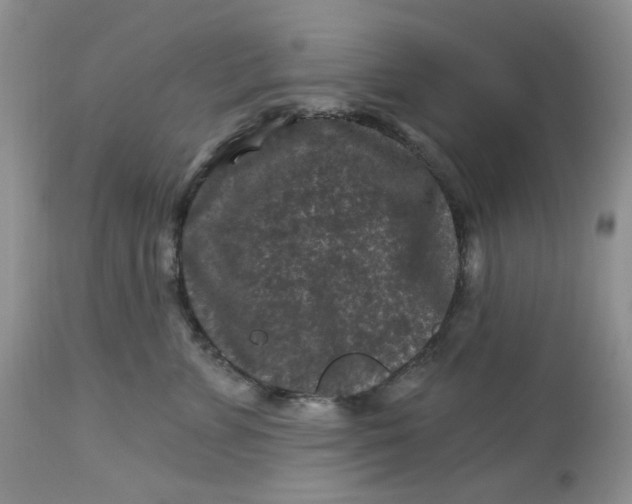 X0000112800715200909111236