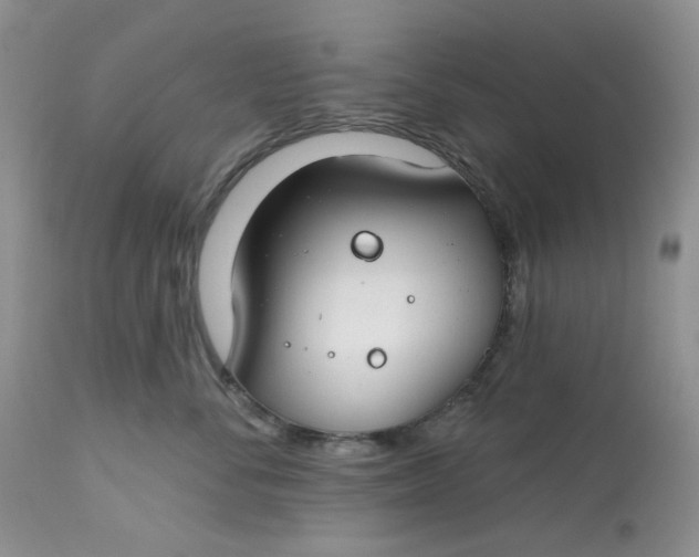 X0000112800716200909111236