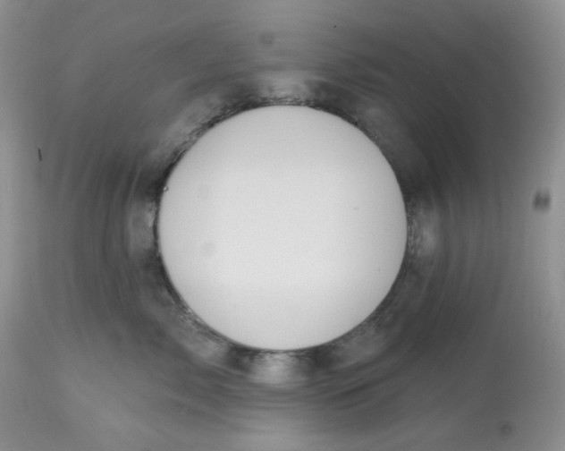 X0000112800717200909111236