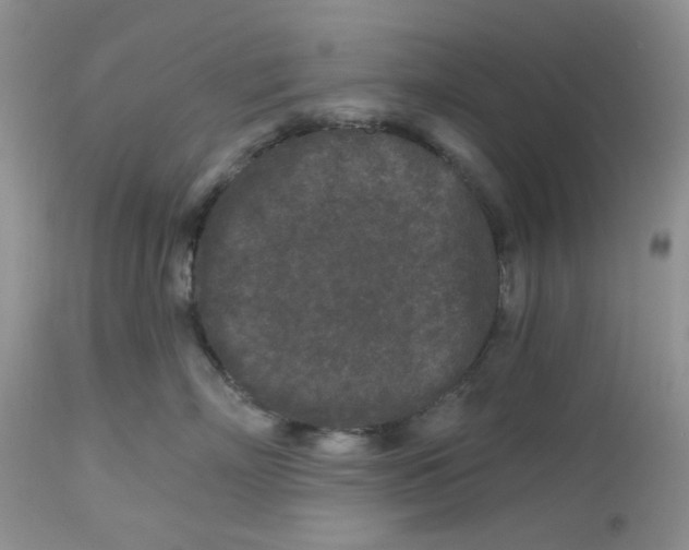 X0000112800718200909111236