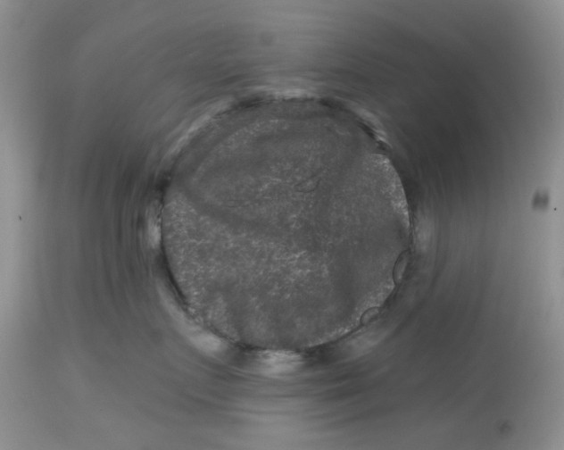 X0000112800719200909111236