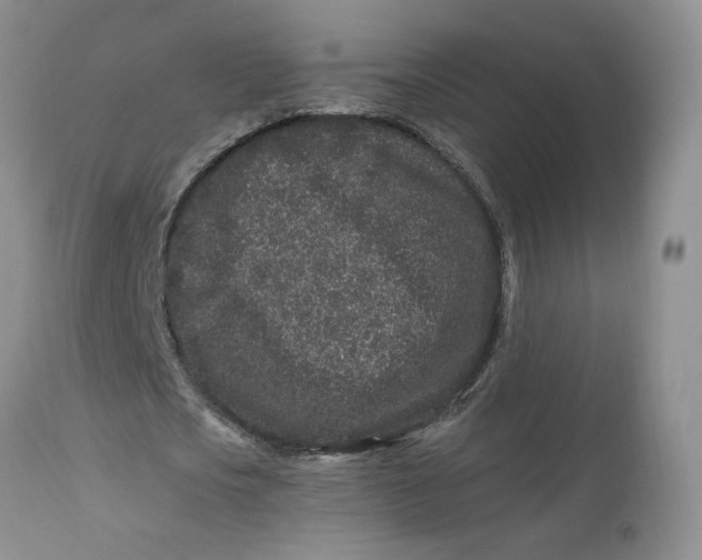 X0000112800721200909111235